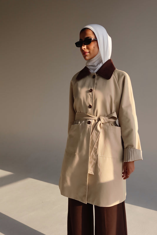 Beige x Brown Trench coat